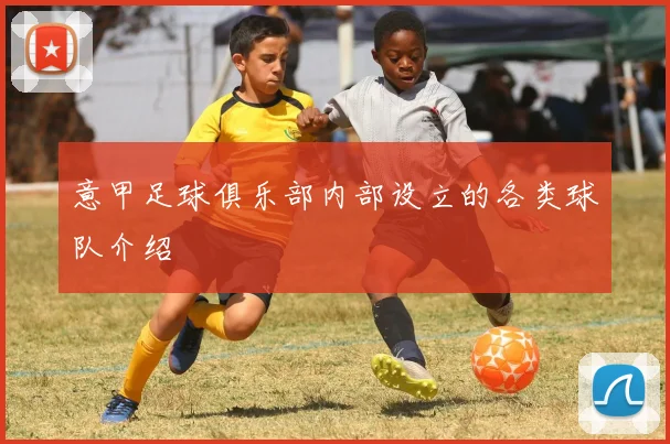 意甲足球俱乐部内部设立的各类球队介绍