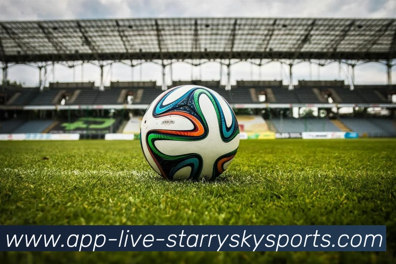 星空体育平台生态图