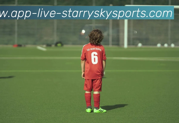 星空体育APP 封面图